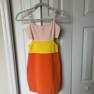 Endless Rose Color Block Dress